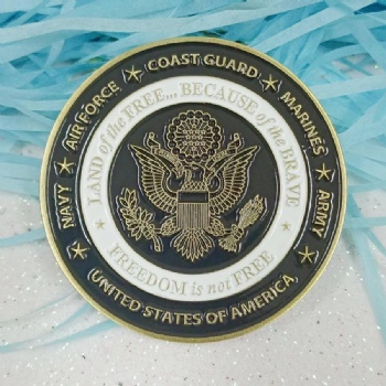 VETERANS DAY Military Challenge Coins