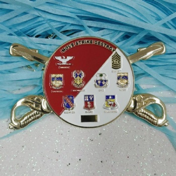 Move Strike Destroy Military Challenge Coins