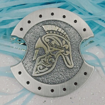 Troop Military Challenge Coins Souvenir Coins
