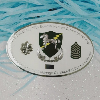 10TH Special Forces Military Challenge Coins